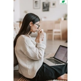 Kidney Wood 0.5 Pound-8 OUNCE Palo Azul Cyclolepis Genistoides-Blue Stick Herbal Tea Teatox for Natural Kidney Cleanse