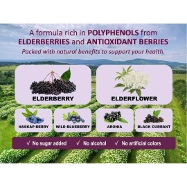 Immunia Fusion - Enhance Your Immune Support. A Powerful Formula of Elderberry, Elderflower, and antioxidant-Rich Berries. Concentrated in polyphenols. Made with Canadian Elderberries. (1-Pack)