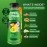 Golden Tiger Organic Turmeric Lemonade with Green Tea - Bio Active Curcumin + Green Tea + Ginger - 12 Bottles - Recover with Plant Based Power - 20 Calories