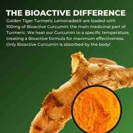 Golden Tiger Organic Turmeric Lemonade with Green Tea - Bio Active Curcumin + Green Tea + Ginger - 12 Bottles - Recover with Plant Based Power - 20 Calories