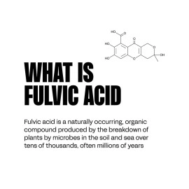blk. Mineral Drops, 2oz, Alkaline Water Drops with Concentrated Fulvic Minerals, Bioavailable Fulvic & Humic Acid Extract, Trace Minerals, Electrolytes to Hydrate, Repair & Restore Cells