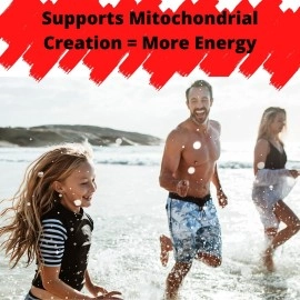 Research Labs 2 Bottles Ultra High Purity 20mg PQQ Capsules, 120 Capsules. Pure, Concentrated High Bioavailability. Pyrroloquinoline Quinone Supplement ATP Energy, Heart, Cognitive Support Nootropic