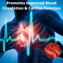 Research Labs 2 Bottles Ultra High Purity 20mg PQQ Capsules, 120 Capsules. Pure, Concentrated High Bioavailability. Pyrroloquinoline Quinone Supplement ATP Energy, Heart, Cognitive Support Nootropic