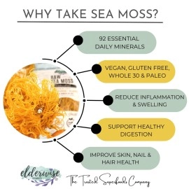 Elderwise Organics Made With Love Sea Moss | Makes 20oz of Gel | WILDCRAFTED | Raw + Non GMO | Sundried | MINERAL RICH | Golden