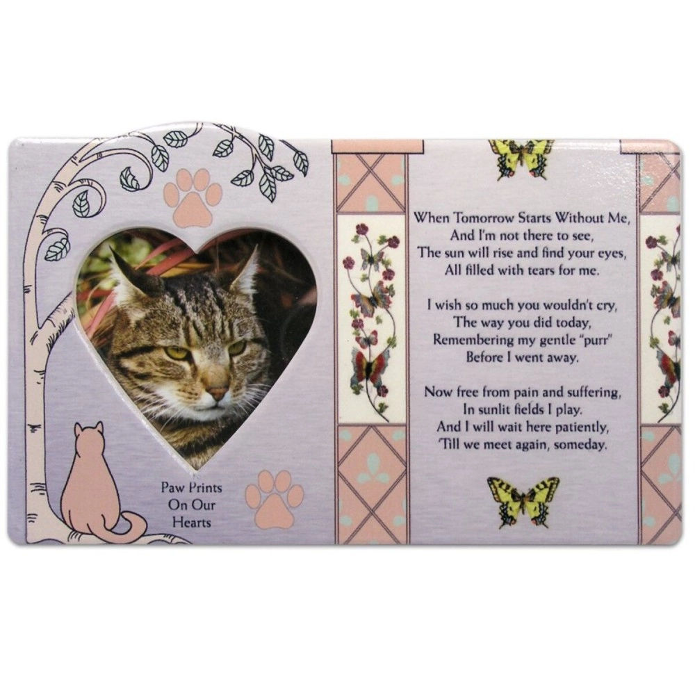 BANBERRY DESIGNS Cat Memorial Picture Frame - When Tomorrow Starts Without Me - in Loving Memory of a Kitty - Cat Sympathy Gift Photo Plaque - Loss of a Furbaby
