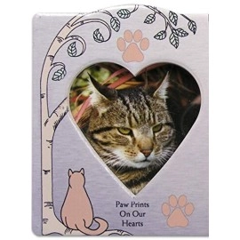BANBERRY DESIGNS Cat Memorial Picture Frame - When Tomorrow Starts Without Me - in Loving Memory of a Kitty - Cat Sympathy Gift Photo Plaque - Loss of a Furbaby