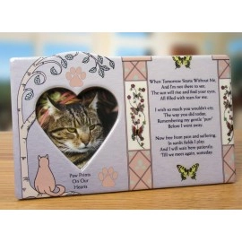 BANBERRY DESIGNS Cat Memorial Picture Frame - When Tomorrow Starts Without Me - in Loving Memory of a Kitty - Cat Sympathy Gift Photo Plaque - Loss of a Furbaby