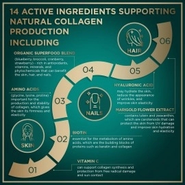 WILD FUEL Maximum Potency Vegan Collagen Builder - Cruelty-Free Kickstart Formula - Concentrated Support for Younger-Looking Skin, Strong Hair and Nails and Flexible Joints - Non-GMO - 30 Tablets