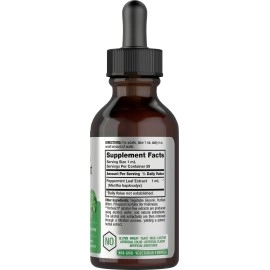Horbach Peppermint Leaf Extract Liquid | 2 Fl Oz | Alcohol Free Drops | Vegetarian | Non-GMO & Gluten Free Herbal Supplement