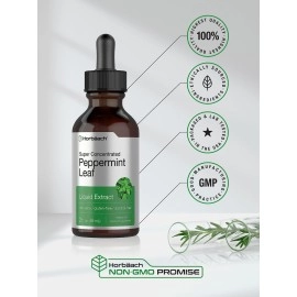 Horbach Peppermint Leaf Extract Liquid | 2 Fl Oz | Alcohol Free Drops | Vegetarian | Non-GMO & Gluten Free Herbal Supplement
