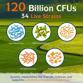 Innate Vitality 3-in-1 Probiotics 120 Billion CFUs 34 Strains with Organic Prebiotics & Digestive Enzymes - 30 Vegan Caps