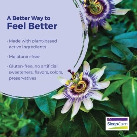 Boiron SleepCalm Sleep Aid for Deep, Relaxing, Restful Nighttime Sleep - Melatonin-Free and Non Habit-Forming - 60 Count (Pack of 2)