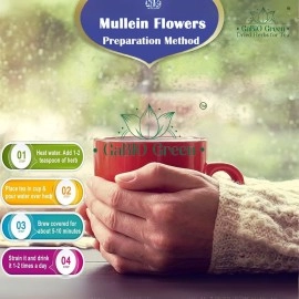 Gabio Green Mullein Flowers Dried | Herbal| GORDOLOBO , Resealable Bag , Verbascum Thapsus 4 oz.