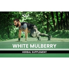 PURE ORIGINAL INGREDIENTS White Mulberry (365 Capsules) 100% with No Fillers or Additives, Non-GMO & Gluten Free, Naturally Sourced, Made in The USA