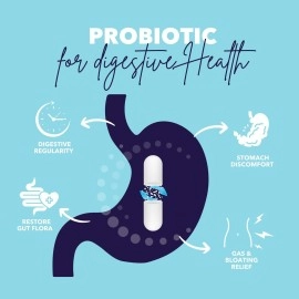 Bio360 Probiotic Daily Extra Formula | Vegan Prebiotics and Probiotics for Women & Men | 60 Billion CFU 15 Strain | Stable Blister Pack | 30 Supplements