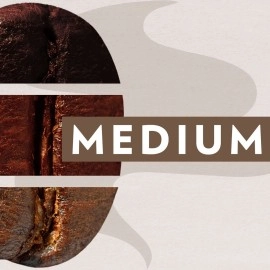 Lavazza Tierra for Amazonia Ground Coffee, Medium Roast, 100% Arabica, 10.5 oz Bag (Pack of 1)