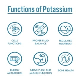 TradeKing Source Nutrition Potassium Chloride Powder - Supports Hydration and Fluid Levels, Table Salt Substitute, Excellent Source of Potassium - KCL Supplement (8 oz.)