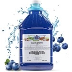 Arctic Slushy Frozen Slushie Syrup Mix - New York Flavored Syrups for Ice Drink Machines, Blenders - DIY, Commercial Blended & Icy Beverage Flavoring - Half-Gallon, Makes 40 Cups (Blue Raspberry)
