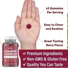 NEW AGE Vitamin B Complex Gummies with Vitamin B3, B6, & B12 - with Biotin, Folic Acid & Vitamin C - Gluten-Free, Vegan, Made in The USA! (120 Count (Pack of 2))