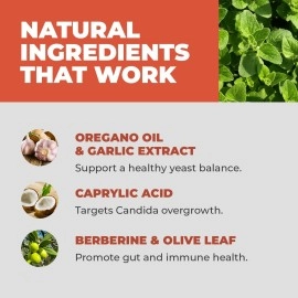 Balance ONE CandAssist Intestinal Flora Balance - Caprylic Acid, Berberine - Delayed Release Capsules - Vegan & Non-GMO - 30 Day Supply