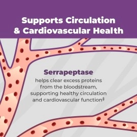 Balance ONE SerraDefend Biofilm Defense, Digestion - Systemic and Digestive Enzymes - Serrapeptase, Nattokinase, Protease, Cellulase - 60 Capsules, 2 Month Supply