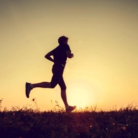 PURE ORIGINAL INGREDIENTS Calcium Citrate (1 lb) Blood, Bone Strength, Digestion*, 100%