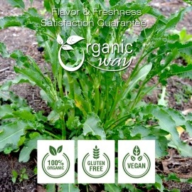 Organic Way Yellow Dock Root Cut & Sifted (Rumex crispus) - European Wild-Harvest | Organic & Kosher Certified | Vegan, Non GMO & Gluten Free | USDA Certified | Origin - Albania (1/4LBS / 4Oz)