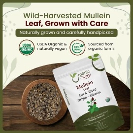 Organic Way Mullein Leaf | Herbal Tea (Verbascum thapsus) Cut & Sifted - European Wild-Harvest | Organic & Kosher Certified | Non GMO & USDA Certified | Origin - Albania (1/4LBS / 4Oz)