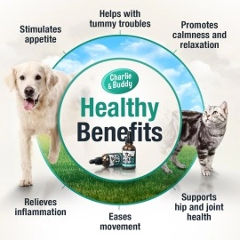 Charlie & Buddy Hmp il Dogs Cats - Helps Pets with nxity, Pin, Strss, Slp, rthritis, Sizures Rlief - i Jint Halth - 100 Natural Pure Drps, Orgnic Clming Trats
