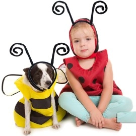 HozHoy Butterfly Antenna Headband For Girls Women Bug Antenna Headband Black Velvet Headband for Halloween Cosplay Costume Accessory