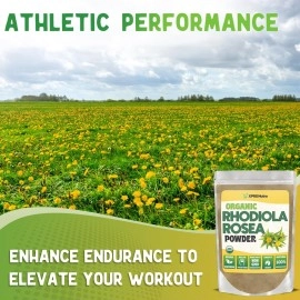 XPRS Nutra Organic Rhodiola Rosea Powder - Premium USDA Organic Rhodiola Powder for Cognition and Relaxation - Vegan Friendly Energy Booster (1 oz)