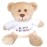 Hug-a-BooBoo Happy Birthday! Small Plush Teddy Bear from Super Cute 6 Inch Plush Teddy Bear with Happy Birthday! Message T-Shirt - Great for Gift, Gift Basket, Party Favor