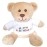 Hug-a-BooBoo Happy Birthday! Small Plush Teddy Bear from Super Cute 6 Inch Plush Teddy Bear with Happy Birthday! Message T-Shirt - Great for Gift, Gift Basket, Party Favor