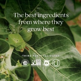 New Chapter Organic Ashwagandha Supplement, One Capsule a Day of Adaptogens for Stress Relief, Mood Support, & Energy, Vegan, 60 Count