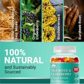 BIO VITALICA Sea Moss Gummies Elderberry BioVitalica - Vitamin C D + Zinc - Irish Seamoss Vegan Gummy with Sea Moss Gel & Powder for Immunity, Detox & Energy - for Adults and Kids