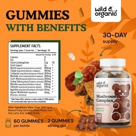 Wild & Organic Mushroom Gummies - Reishi, Chaga, Cordyceps, Maitake, Lion\'s Mane, Turkey Tail, Mesima, Shiitake, Agarikon, Oyster Blend - Brain Booster & Immune Support Supplement, 60 Chews per Bottle