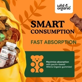 Wild & Organic Mushroom Gummies - Reishi, Chaga, Cordyceps, Maitake, Lion\'s Mane, Turkey Tail, Mesima, Shiitake, Agarikon, Oyster Blend - Brain Booster & Immune Support Supplement, 60 Chews per Bottle