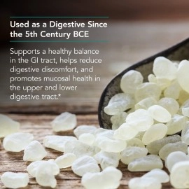 Nutricology Mastic Gum - Authentic Chios Mastiha - GI Health, Metabolism - 60 Vegetarian Capsules