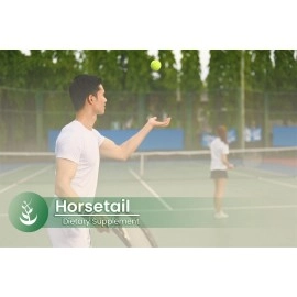 PURE ORIGINAL INGREDIENTS Horsetail (100 Capsules) 100% Silica, Joint Support*