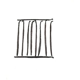 GREEN VANILLA 10 Madagascar Beans - Grade A Making Pure Extract for Chefs, Great for Baking 5\'\'-7\'\' NON -GMO(Pack of 1)