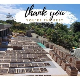 GREEN VANILLA 10 Madagascar Beans - Grade A Making Pure Extract for Chefs, Great for Baking 5\'\'-7\'\' NON -GMO(Pack of 1)