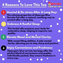 Sipacupa Blue Vervain Tea - Pack of 2-24 bags each - 48 bags total - 100% Jamaican Product