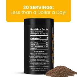 Inner Elevate Mushroom Chai - Ultimate Coffee Alternative - Adaptogenic Mushroom Tea Drink with Lion\'s Mane, Cordyceps, Chaga, Reishi, Turkey Tail (35 Servings)