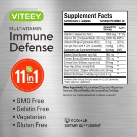 11 in 1 Immune Defense Support Supplement Booster with Vitamin C, Vitamin D3, Vitamin B6, Zinc, Elderberry, Echinacea, Turmeric, Rose-Hips, Selenium, BioPerine, Ginger, For Adults [60 Capsules-2 Pack]