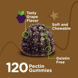 Iron Gummies for Kids with Vitamin C - Supports Energy, Blood Cell Formulation, Blood Builder Anemia Supplements, Gluten Free, Gelatin Free, GMO Free, Grape Flavor, Pectin Chewable Vegan Gummy Chews