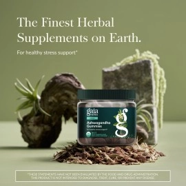 Gaia Herbs Organic Ashwagandha Gummies, Stress Support, Cinnamon, Ginger, Gluten Free, Vegan, 81 Count