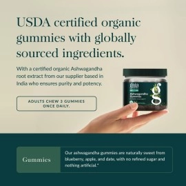 Gaia Herbs Organic Ashwagandha Gummies, Stress Support, Cinnamon, Ginger, Gluten Free, Vegan, 81 Count