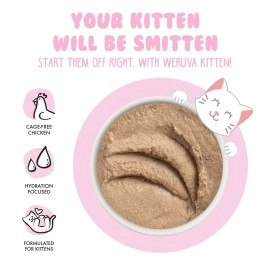 Weruva Kitten, Chicken Breast Formula in a Hydrating Pure, 3oz Can (Pack of 12)