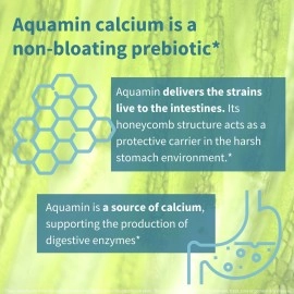 Igennus Live Cultures+ Probiotic Complex with Prebiotics for Gut Health, Lactobacillus Acidophilus & Bifidobacterium, 25 Billion CFU, Vegan, Bloating Relief, 30 Capsules,