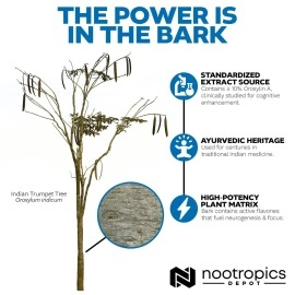 Nootropics Depot Sabroxy Tablets | 500mg | 30 Count | Minimum 10% Oroxylin-A | Oroxylum indicum | May Help Promote Focus & Motivation | May Help Promote Cognitive Function